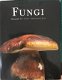 Fungi - 1 - Thumbnail