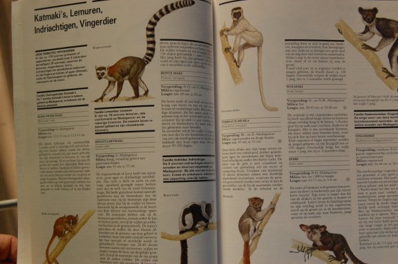 De wereld van de Zoogdieren - Afbeelding 3