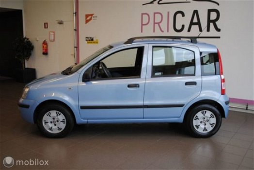 Fiat Panda - - 1.2 edizione cool - 1