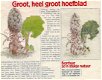 Borduurpatroon van Thea Gouverneur - Groot hoefblad - 1 - Thumbnail