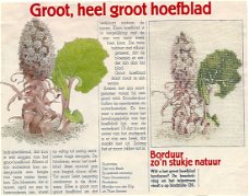 Borduurpatroon van Thea Gouverneur - Groot hoefblad