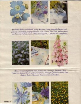 Het zomerbloemen-borduurboek van Libelle - 6