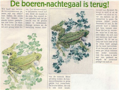 Borduurpatroon Boeren nachtegaal (kikker) - 1