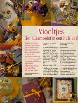 Borduurpatroon viooltjes - 1