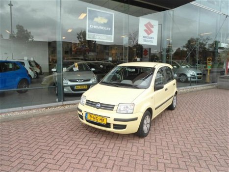 Fiat Panda - 1.2 Dynamic - 1