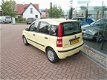 Fiat Panda - 1.2 Dynamic - 1 - Thumbnail