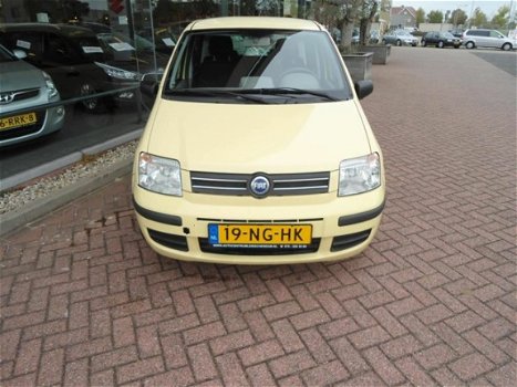 Fiat Panda - 1.2 Dynamic - 1