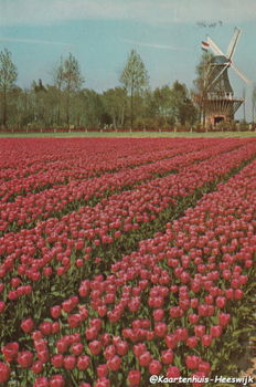 Keukenhof Lisse - 1