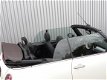 Mini Mini Cabrio - 1.6-16v 97PK One Salt(geen airco) - 1 - Thumbnail