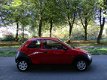 Ford Ka - 1.3 Centennial , Nieuwe APK Slechts 73.927KM - 1 - Thumbnail