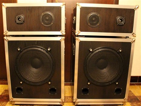 15 inch subwoofer bassreflex + luidspreker kast Mid-High - 1