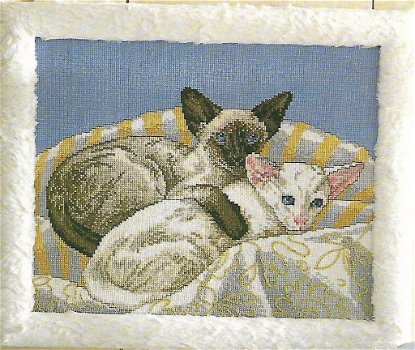 Borduurpatronen Siamese kittens van Remy Ludolphy - 1