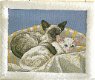 Borduurpatronen Siamese kittens van Remy Ludolphy - 1 - Thumbnail