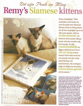 Borduurpatronen Siamese kittens van Remy Ludolphy - 2