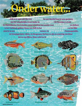 Borduurpatroon Onder water (tropische vissen) - 1