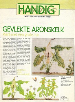 Borduurpatroon Gevlekte aronskelk uit de Margriet serie Handig - 1