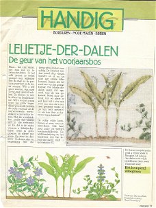 Borduurpatroon Lelietje-der-dalen uit de Margriet serie Handig