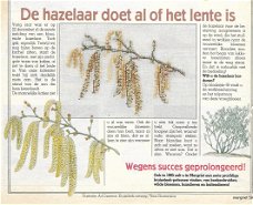 Borduurpatroon de Hazelaar uit de Margriet serie Handig