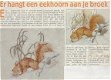 Borduurpatroon Eekhoorn uit de Margriet serie Handig - 1 - Thumbnail