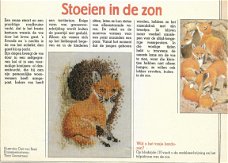 Borduurpatroon de Vos uit de Margriet serie Handig