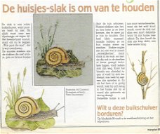 Borduurpatroon de Huisjesslak uit de Margriet serie Handig