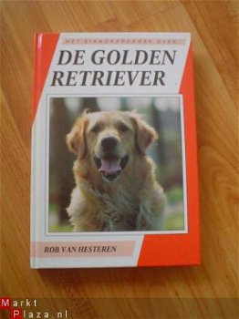 De golden retriever door Rob van Hesteren - 1