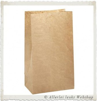 Papieren zakken met blokbodem bruin 24x10cm 100 stuks - 1