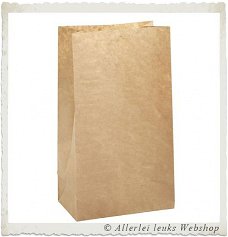 Papieren zakken met blokbodem bruin 24x10cm 100 stuks