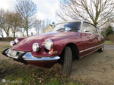 Citroën DS - D Special - 1