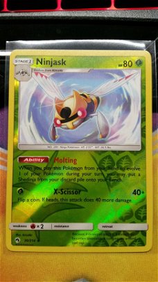 Ninjask  30/214 (reverse)  Lost Thunder