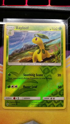 Bayleef  7/214 (reverse) Lost Thunder