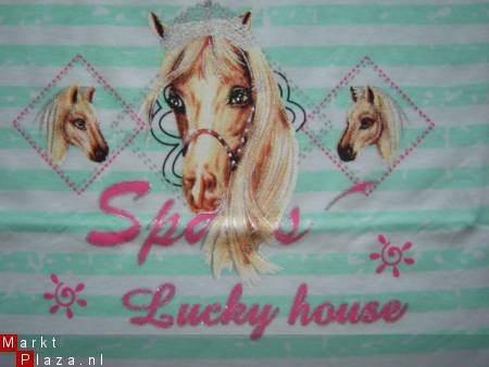 LEUK T-Shirt met paarden print maat 134/140 - 2