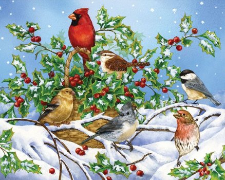 Bits and Pieces - Holly Birds - 1000 Stukjes Nieuw - 1