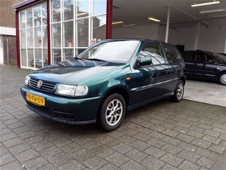 Volkswagen Polo - 1