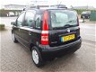 Fiat Panda - 1.1 YOUNG nette staat - 1 - Thumbnail