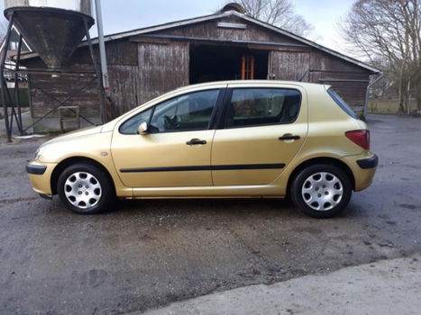 Peugeot 307 - 1.6-16V XR 2001 Airco 5 deurs - 1