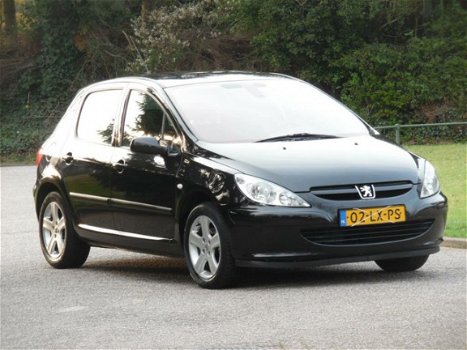 Peugeot 307 - 1.6-16V XS 5DRS/Nieuwe Apk/Airco/Nap - 1