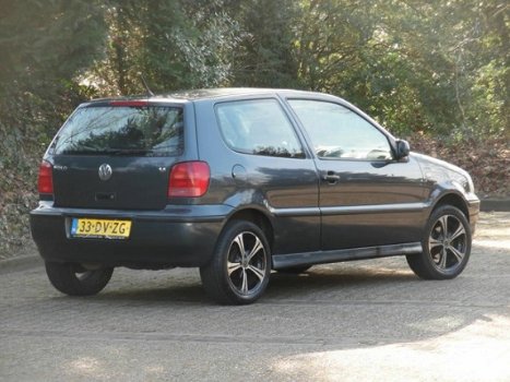 Volkswagen Polo - 1.4-16V Trendline Stuurbekrachtiging/Nieuwe Apk/Nap - 1