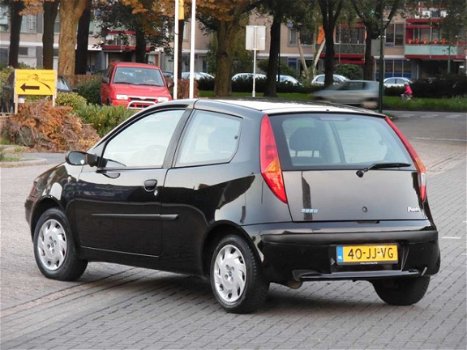 Fiat Punto - 1.2 Active - 1