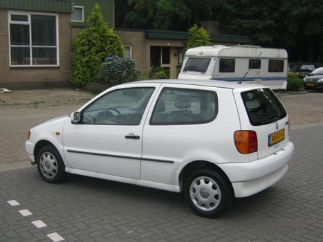 Volkswagen Polo - 1.4 - 1