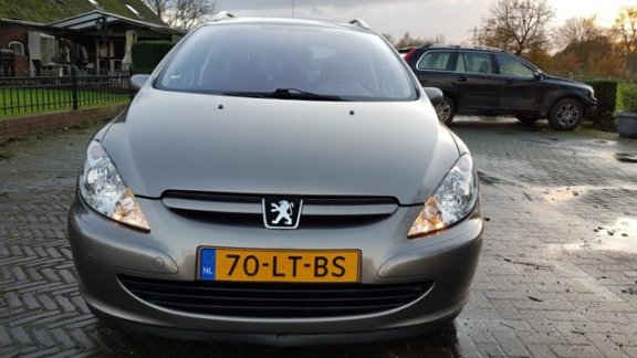 Peugeot 307 SW - 407 SW 206 106 INKOOP/GEZOCHT - 1