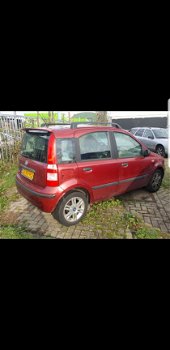 Fiat Panda - Stilo Ducato Bravo Punto INKOOP/GEZOCHT - 1