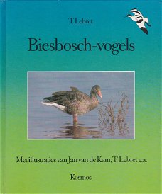 Biesbosch vogels