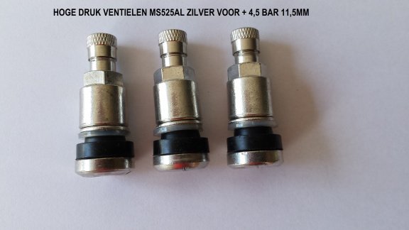 Bandenwissel weken: Auto ventielen TR413 100 stuks €13,95 - 3