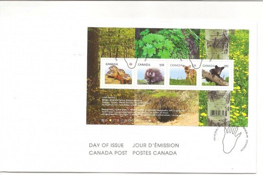 FDC young wildlife Canada - 1