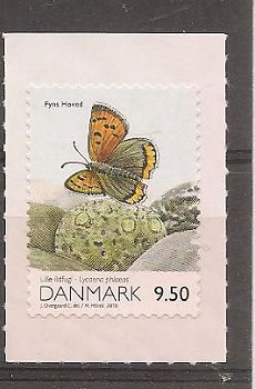 Vuurvlinder, uit Denemarken - 1