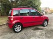 Fiat Panda - 1.2 Emotion, ECC, LM, NAP, Zeer nette auto - 1 - Thumbnail