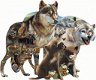 SunsOut - Wolf Pack - 1000 Stukjes Nieuw - 1 - Thumbnail