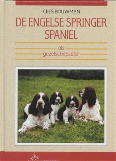 De Engelse Springer Spaniël