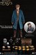 Star Ace Fantastic Beasts Newt Scamander Grey Coat - 1 - Thumbnail